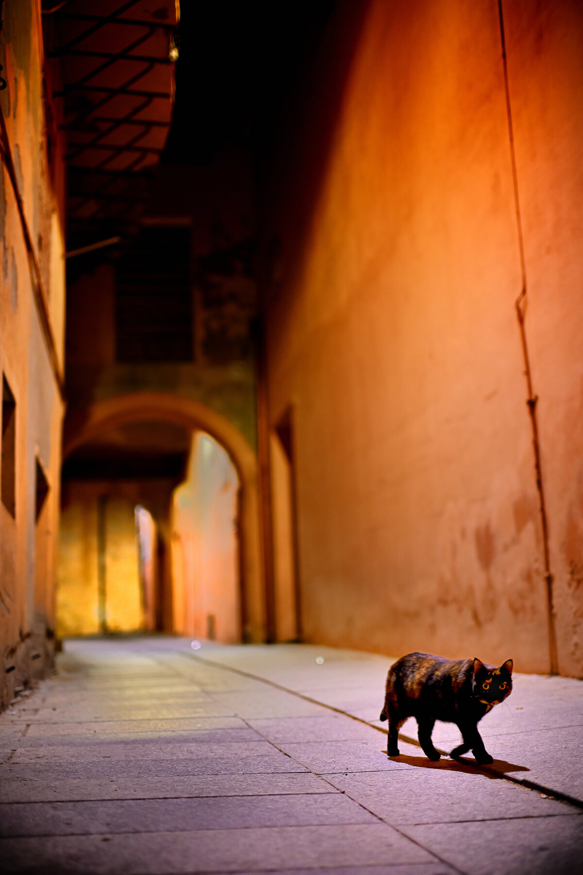 citycolors 12