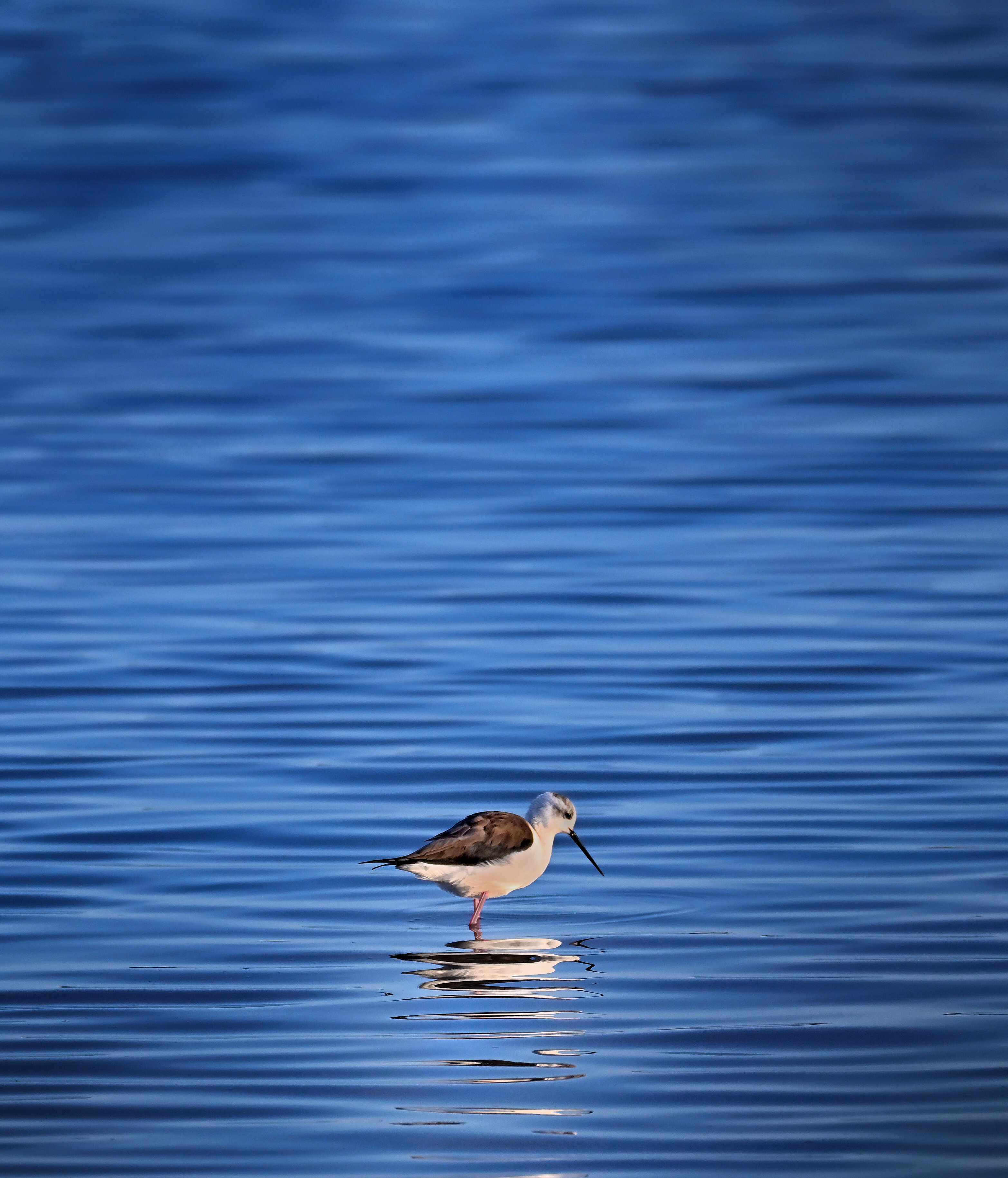 Natura 2